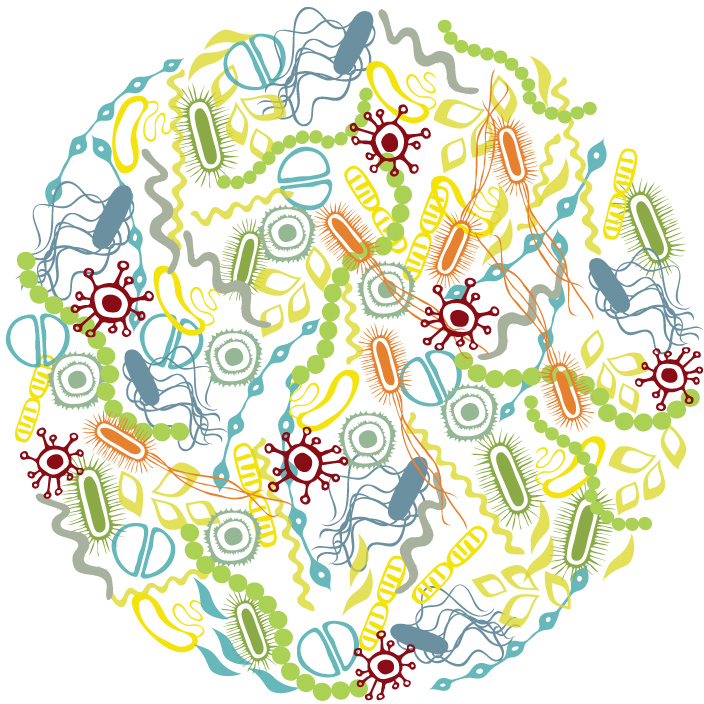 Microbiome người – cơ quan mới của con người